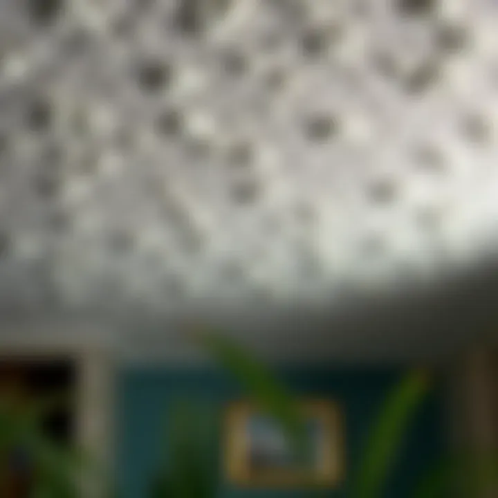 Magnificent A Comprehensive Guide to Popcorn Ceilings: Removal, Alternatives, and Maintenance
