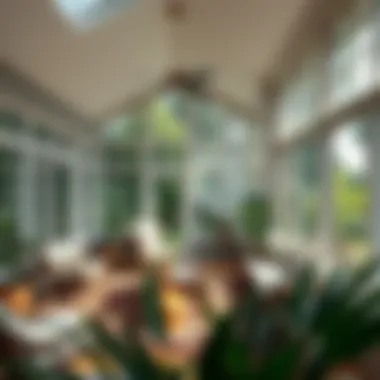 Magnificent Exploring Sunroom Designs: A Visual Guide Magnificent Exploring Sunroom Designs: A Visual Guide