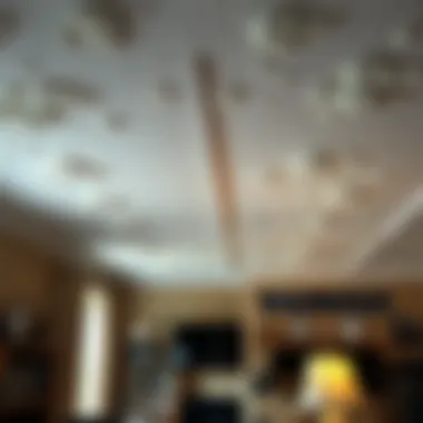 Notable A Comprehensive Guide to Popcorn Ceilings: Removal, Alternatives, and Maintenance