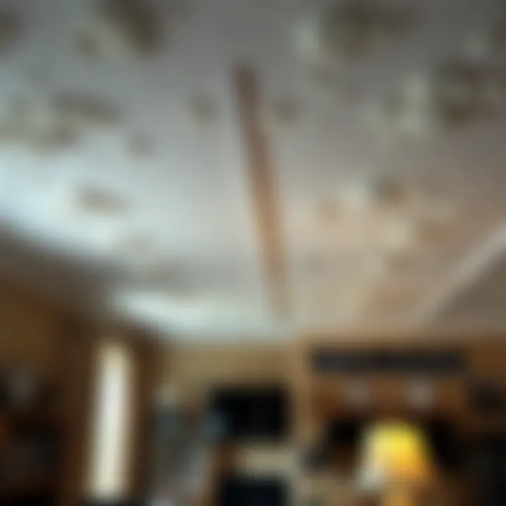 Notable A Comprehensive Guide to Popcorn Ceilings: Removal, Alternatives, and Maintenance