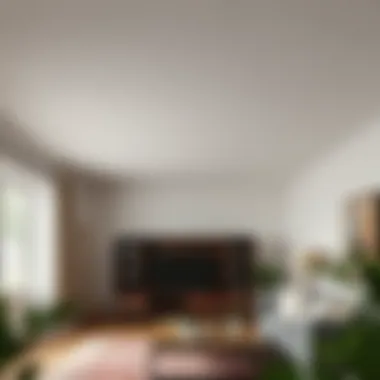 A Comprehensive Guide to Popcorn Ceilings: Removal, Alternatives, and Maintenance Summary