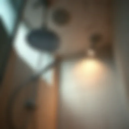 Addressing Mold in the Shower Ceiling: A Comprehensive Guide Introduction