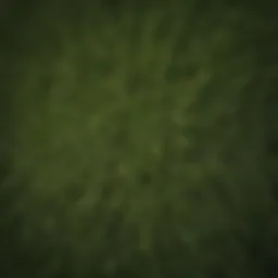 Aerial view of grass seed top dressing
