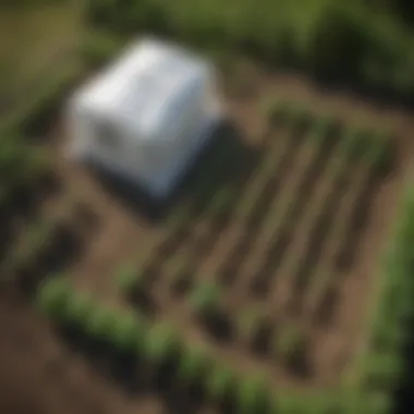 Aerial view of potato grow bags in a garden setting