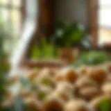 An Exploration of Fastest Growing Potatoes: A Comprehensive Guide Introduction