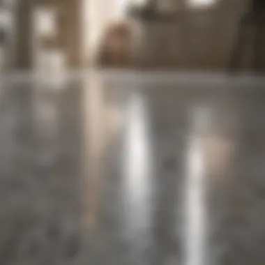 Clean Floor with Shiny Surface Clean floor with a shiny surface