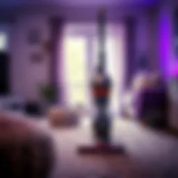 Assessing Dyson's Dominance in Pet Hair Vacuuming Introduction