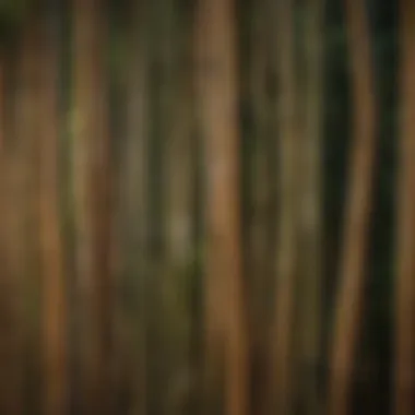 Close-up of bamboo containment barrier installation