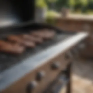 Barbecue Grill Maintenance Essentials