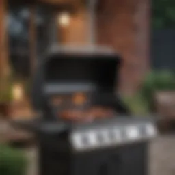 A high-end gas BBQ grill showcasing sleek design and advanced features.