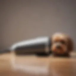 Sleek and Modern Dog Hair Vacuum