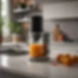 Elegant juicer on kitchen counter