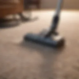 Deep cleaning equipment with carpet cleaning solution