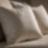 Cleaning decorative pillow with natural detergent