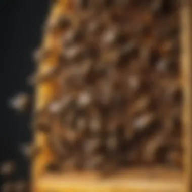 Close-up of bees working inside a small beehive