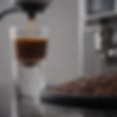 Artisanal Coffee Experience Variety of coffee beans next to a modern glass water reservoir coffee maker