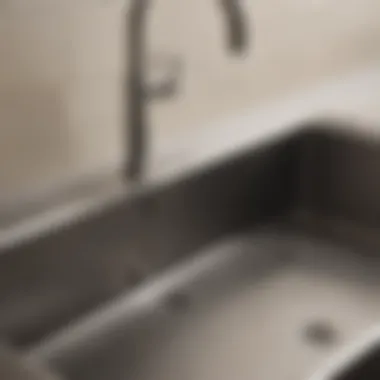 Detailed view of the sink after a thorough cleaning showing sparkling results