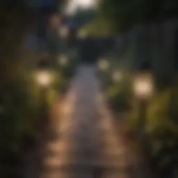 Elegant solar lanterns illuminating a garden pathway at dusk.