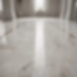 Elegant white marble floor with intricate patterns.