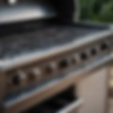 Close-up view of a well-constructed grill emphasizing robust materials and craftsmanship