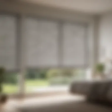 Modern and Airy Sheer Blinds Contemporary Sheer Blinds