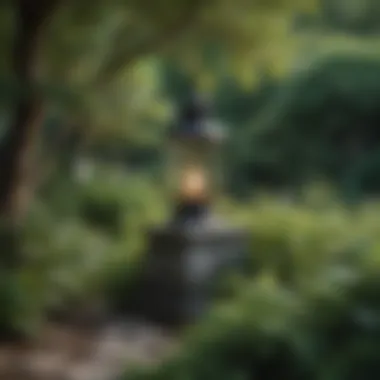 Stone lantern amidst lush greenery in a Japanese garden