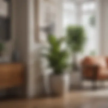 Aesthetic corner of a living room featuring elegant potted plants