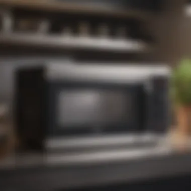 Microwave Cleanliness Transformation Before and after comparison of microwave cleanliness