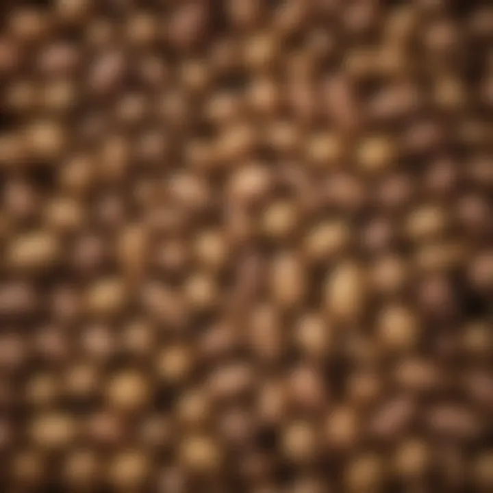 Different types of potatoes displayed on a wooden table, highlighting their diversity