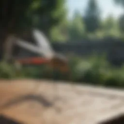 A variety of commercial gnat sprays displayed on a garden table