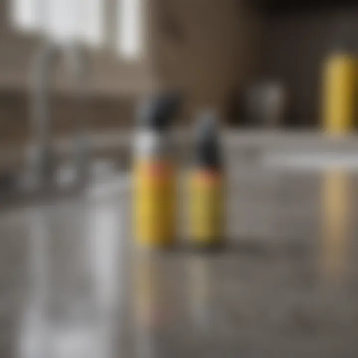 Close-up of DIY gnat spray ingredients arranged on a kitchen counter