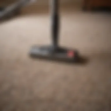 Vacuuming carpet to remove moth larvae