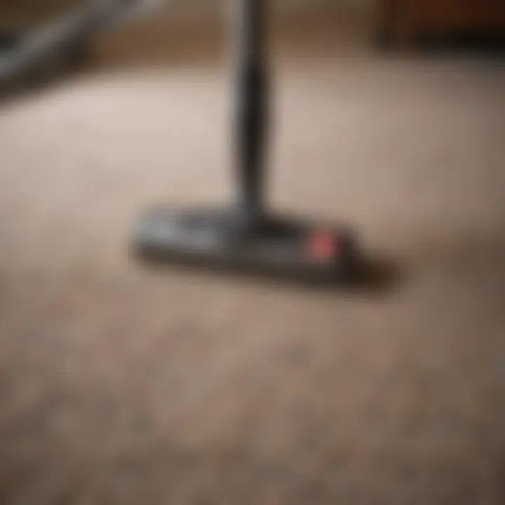 Vacuuming carpet to remove moth larvae