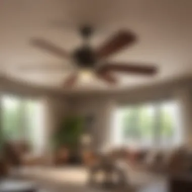 Ceiling fan spinning in a cozy room