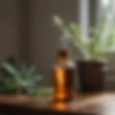 Essential Oils as Moth Deterrents Essential oils for moth prevention