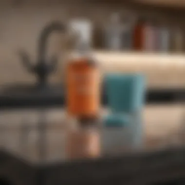 Essential Cleaning Supplies for Quartz Care Cleaning supplies for quartz countertops