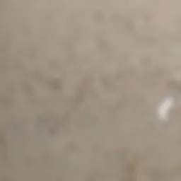 Close-up of quartz countertop with a stain