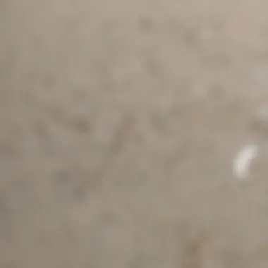 Identifying Stains on Quartz Surfaces Close-up of quartz countertop with a stain