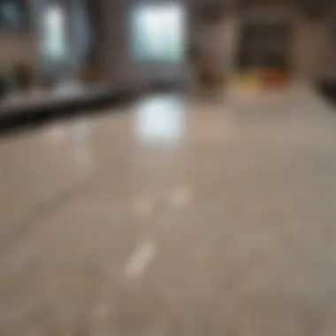 Maintaining Pristine Quartz Countertops A pristine quartz countertop after cleaning