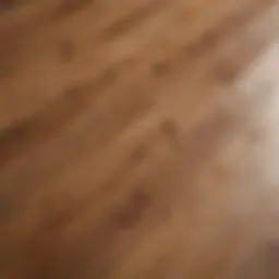 Close-up of a polished wood floor with a visible water stain