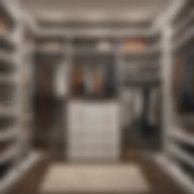 Efficiency-Driven Closet Storage Solutions Efficiency-Driven Closet Storage Solutions