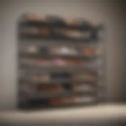 Stylish shoe rack with various types of shoes