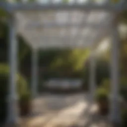 Elegant pergola shade casting intricate shadows