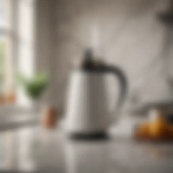 Elegant Coffee Pot on Marble Countertop