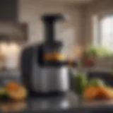 Elegant Hurom Juicer in Action