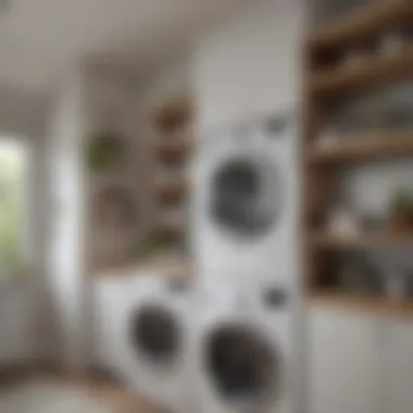 Elegant Vertical Shelves above Washer and Dryer