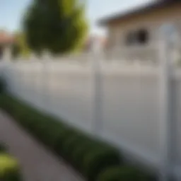 Elegant Vinyl Fencing Design