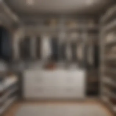 Sleek and Minimalist Closet Organization Minimalist Closet Organization