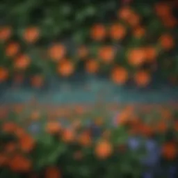 Floral Mosaic Border Design