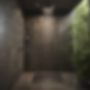 Revitalizing Retreat: The Ultimate Shower Experience Spa-like shower enclosure with rain shower head